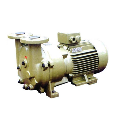 2BV水環(huán)式真空泵